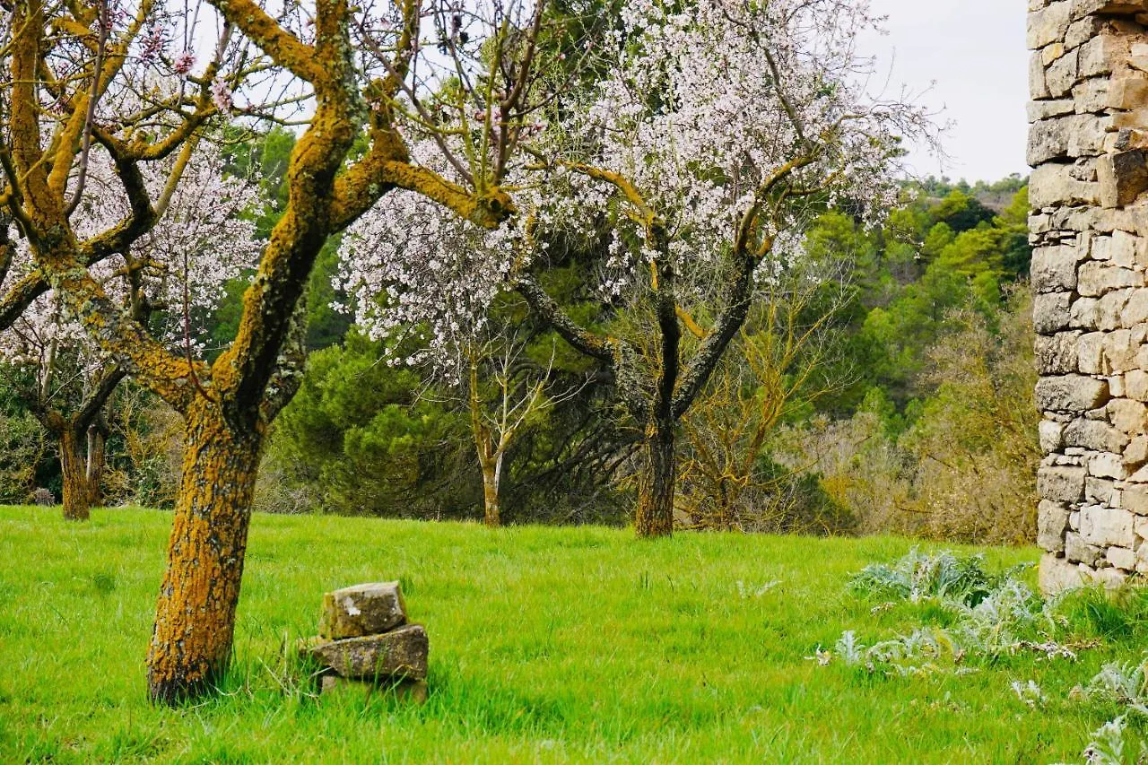 La Guinda De Cal Talaia Apartment Passanant i Belltall